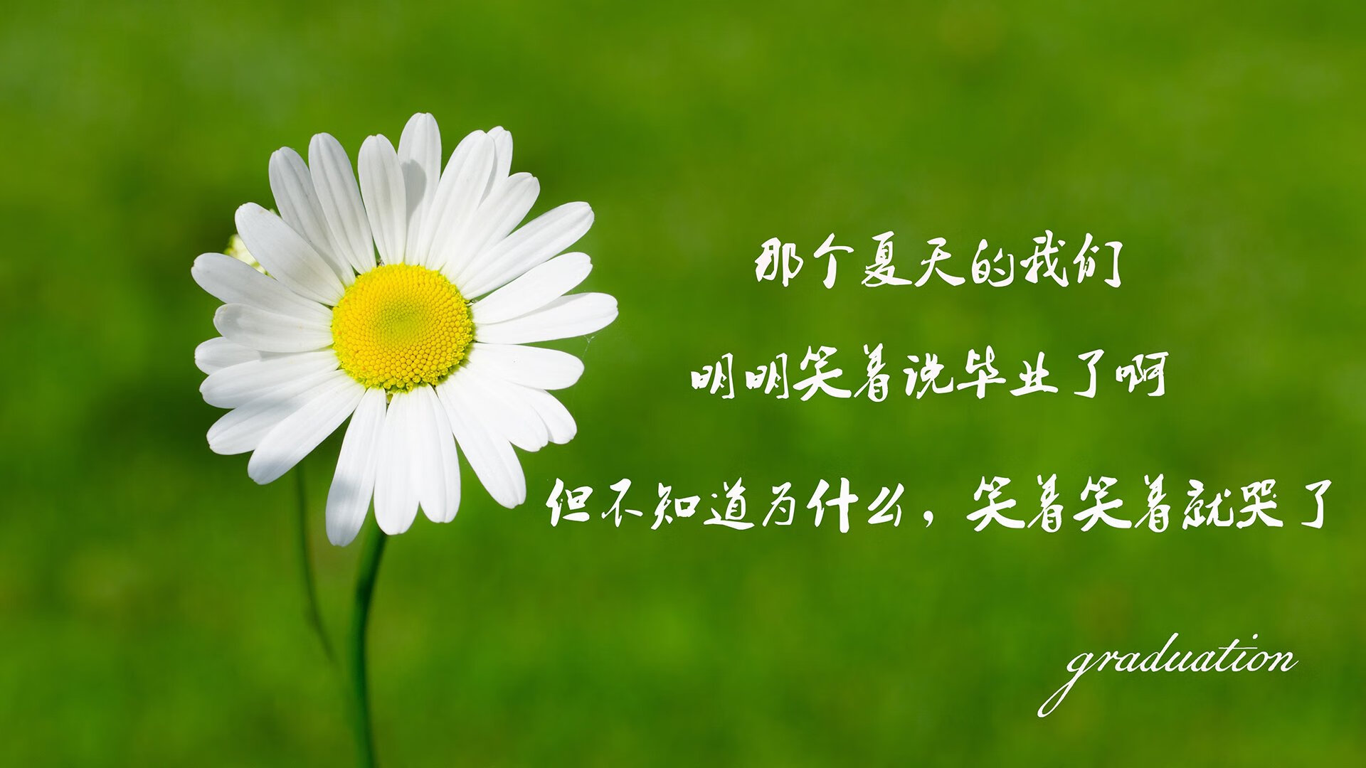 篮球明星效应推动赛事观众增长，明星篮球明星