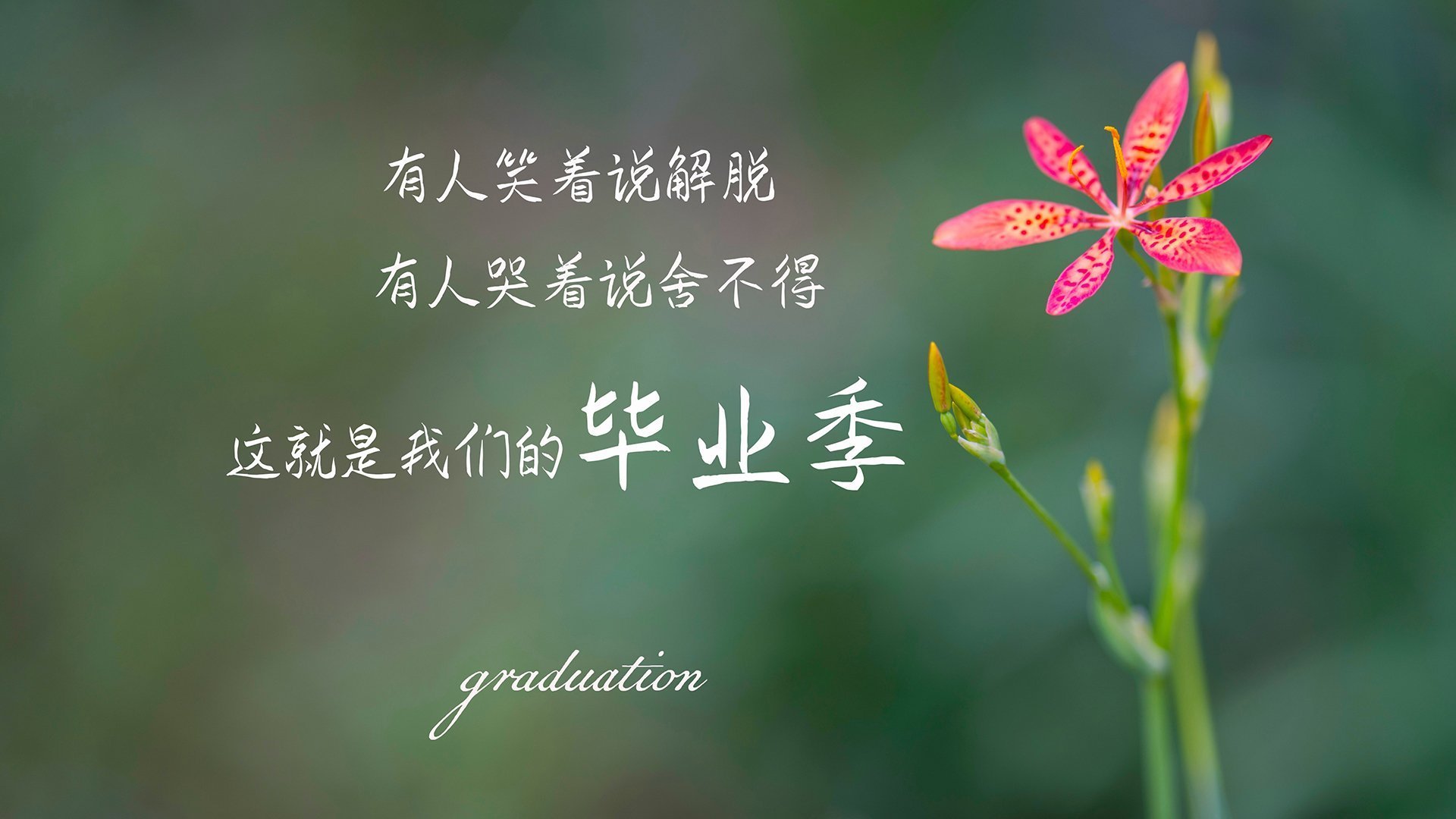 爱游戏-姆巴佩转会皇马，开启新篇章，姆巴佩转会皇马多少钱