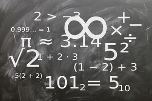 AYX GAMES-中小学体育课程教学内容优化研究，中小学体育教学内容的衔接研究