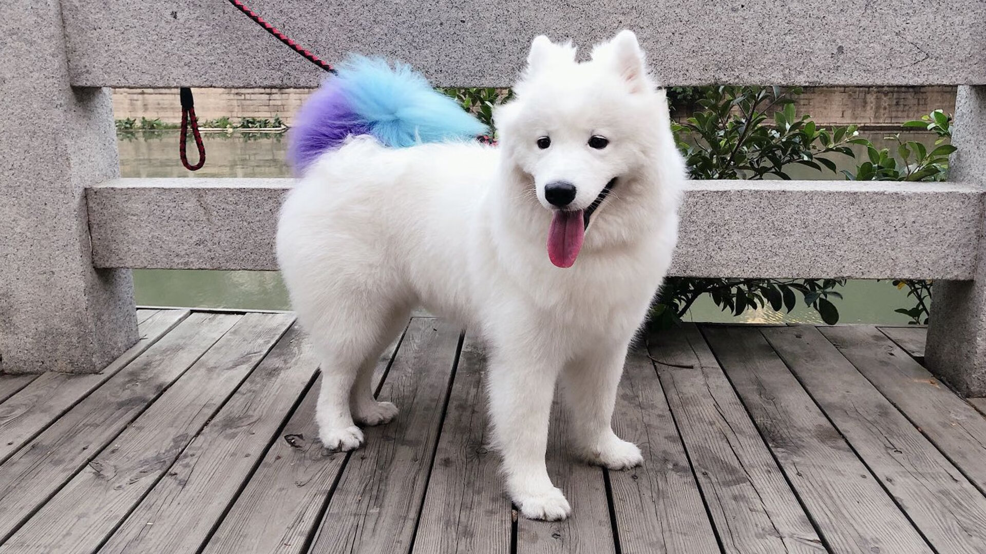 篮球运动社区参与机制及推广策略,社区篮球活动宣传语