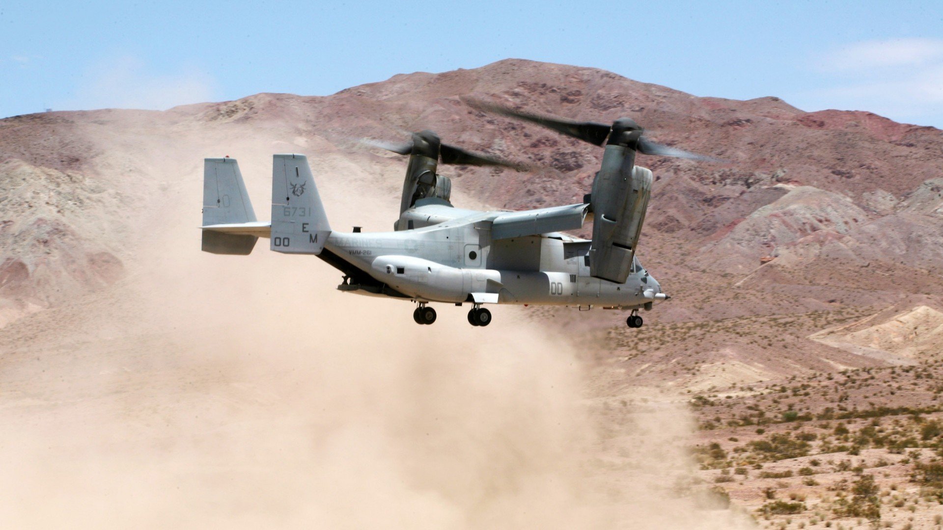 运动员舆情管理与危机应对策略，运动员面临的风险