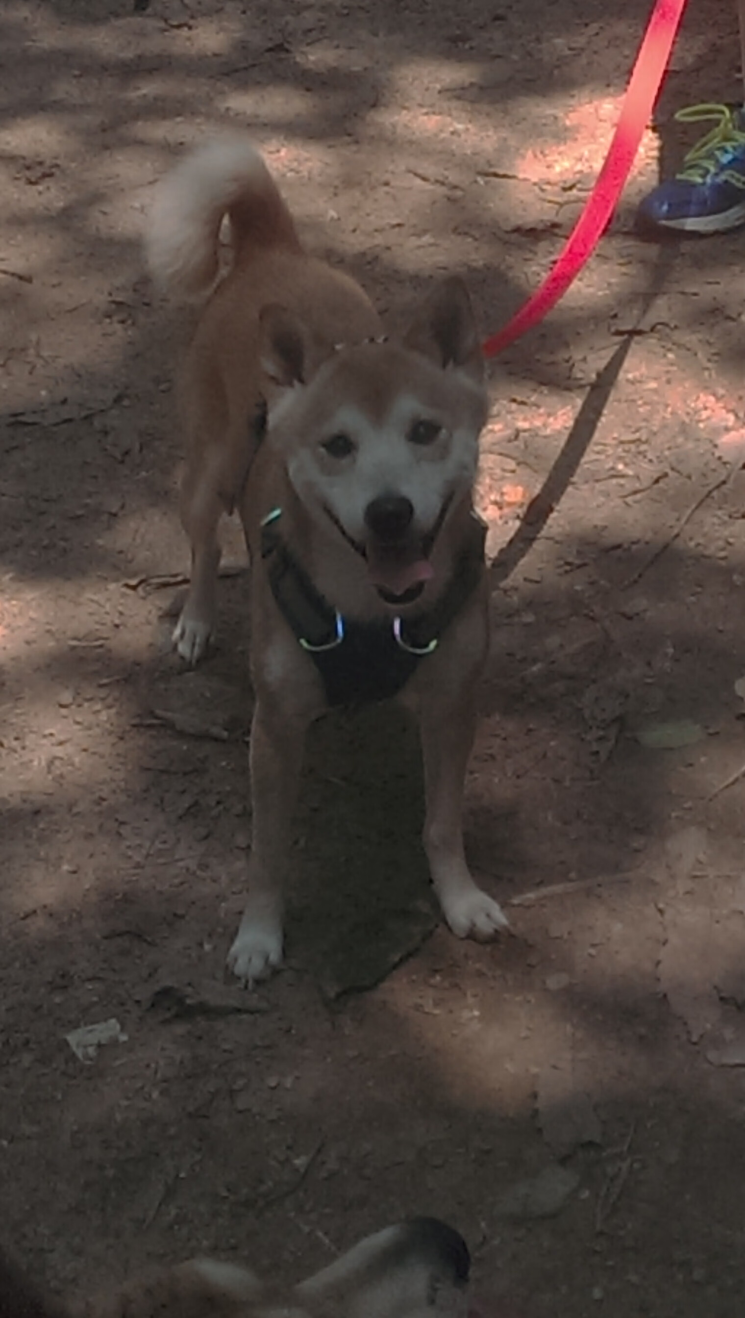 爱游戏娱乐平台-CBA赛季收官 各队总结得失展望未来，cba去年