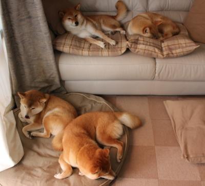 CBA赛季赛事吸引大量关注，cba赛季赛程