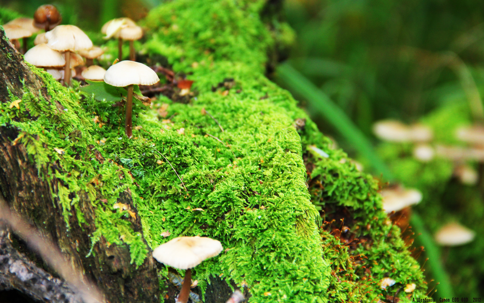 “东安湖体育公园：铁人三项选手的极限挑战，震撼观众”