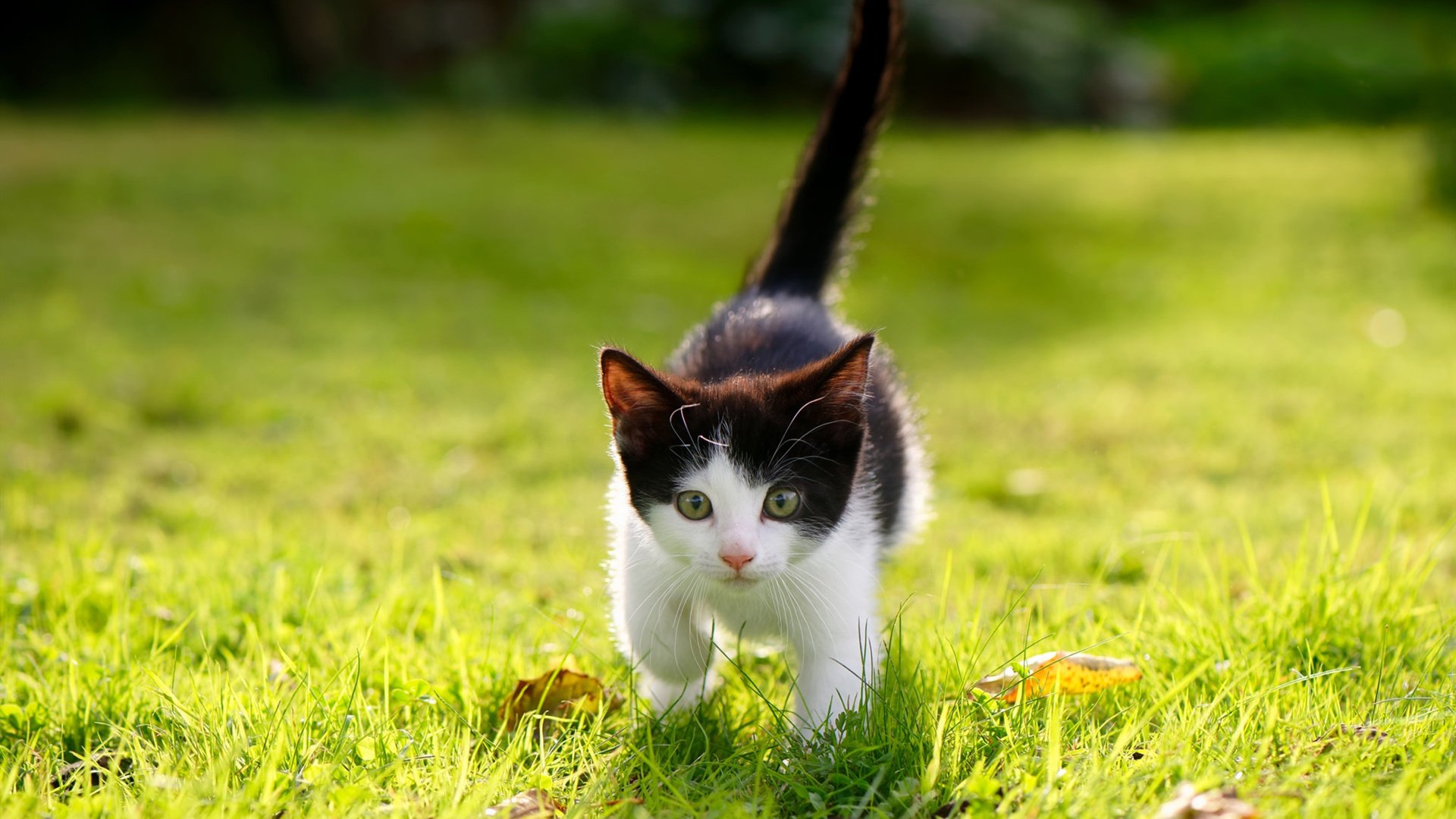 爱游戏游戏平台-中国男篮提升运球突破稳定性应对夹击，中国男篮训练