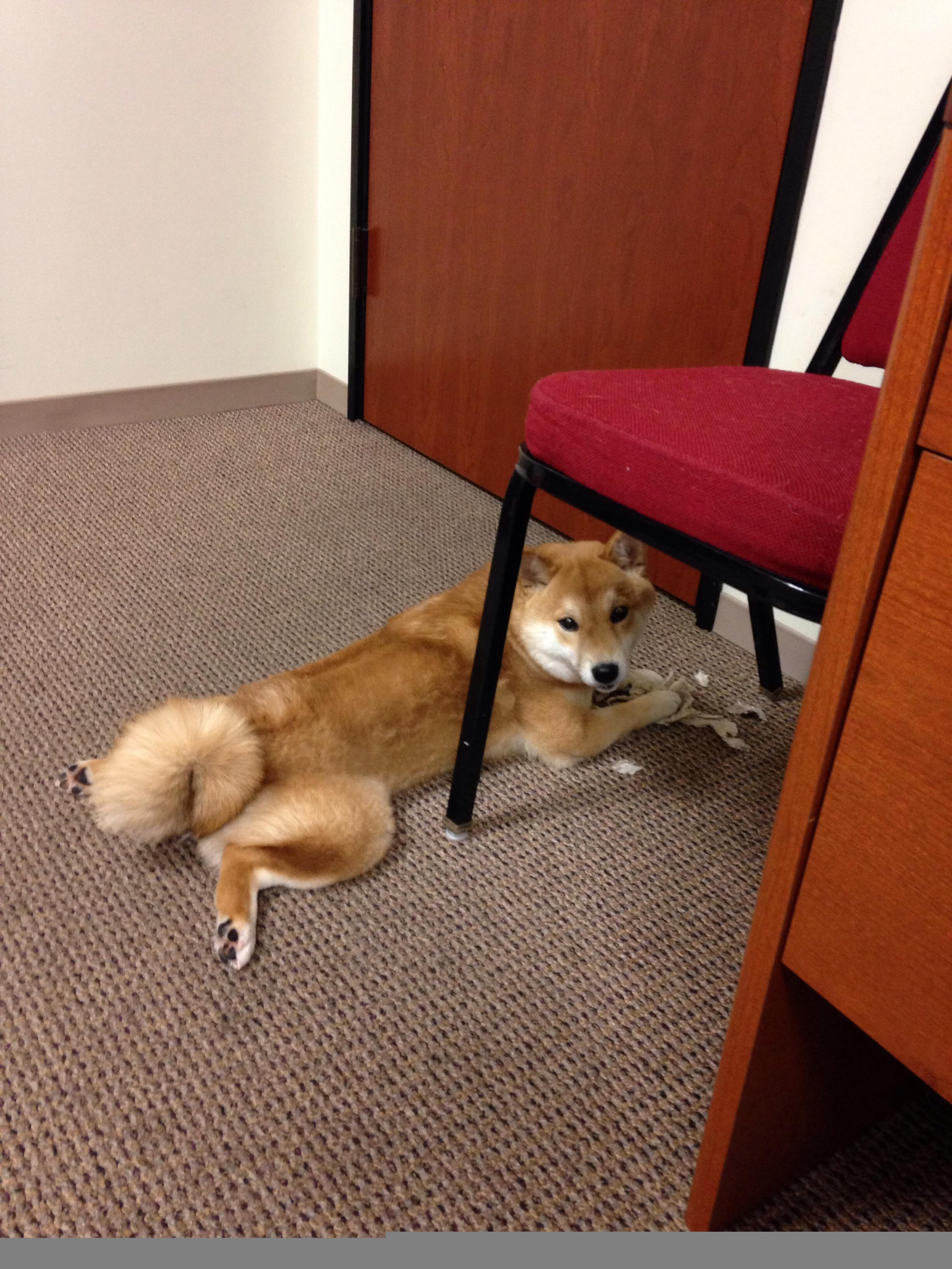 亚冠联赛中国女足平局 球员状态尚需调整，女足亚洲杯中国队成绩